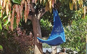 Casa Aloe